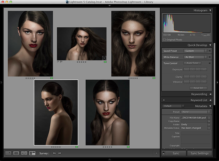 Adobe Lightroom Survey Mode