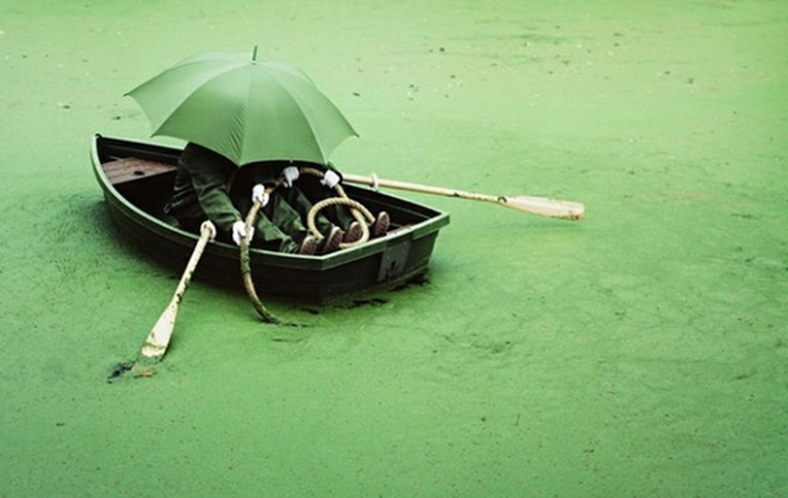 Mimicry: A Quirky Series of Images by Giesen and Leenders