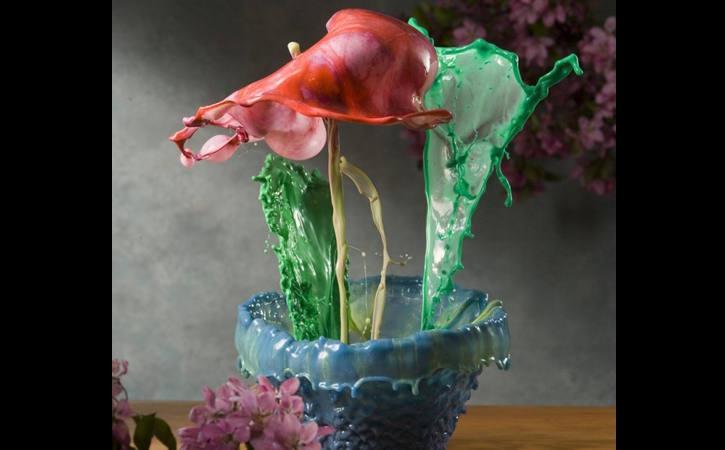 Unbelievable Liquid Flower Photography Takes Patience, Dedication, Artistry
