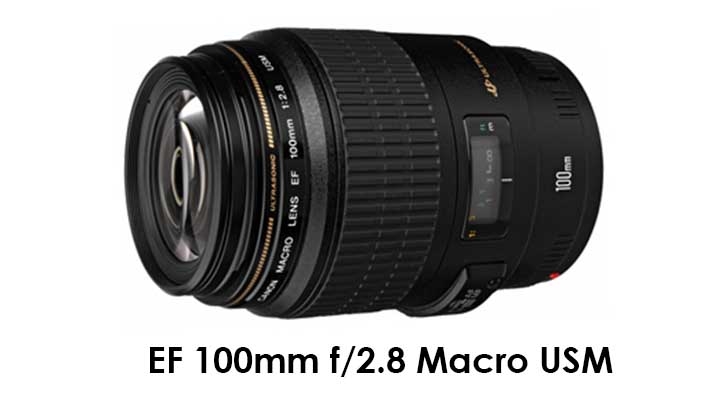 Canon EF 100mm f/2.8 Macro USM