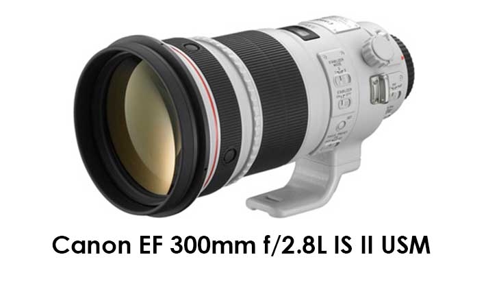 Canon EF 300mm f/2.8L IS II USM