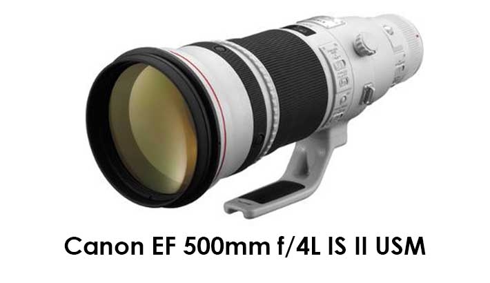 Canon EF 500mm f/4L IS II USM