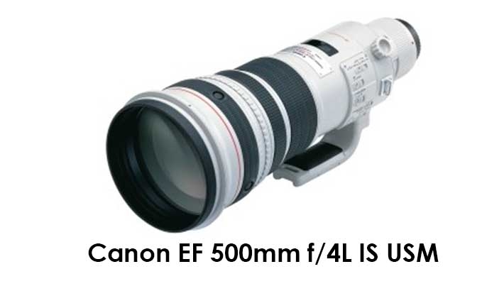 Canon EF 500mm f/4L IS USM