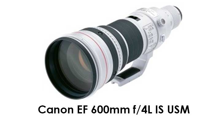 Canon EF 600mm f/4L IS USM