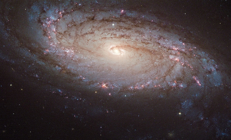 Hubble Space Telescope Spots a Supernova 80 Million Lightyears Away
