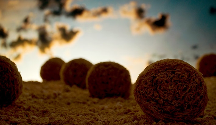 Constructing Photo Scenes From Our Favorite Breakfasts