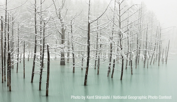 Spectacular Entries in National Geographic Photography Contest