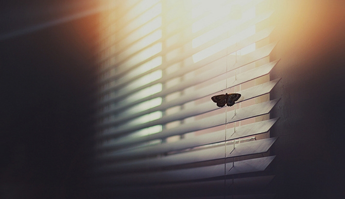 Inspiring Photography By Mahmoud Hiepo