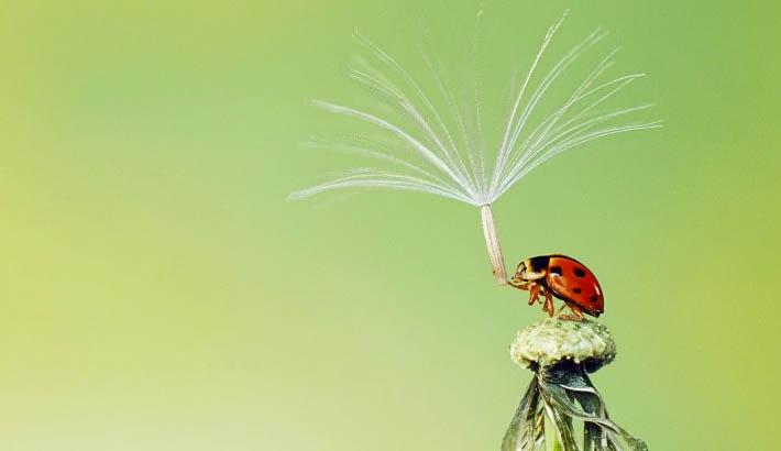 The 2013 Sony World Photography Competition is Narrowing Down