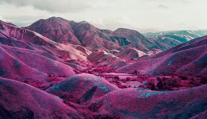 Lomography Purple: Why Would You Want Your Greens to Be Purple?