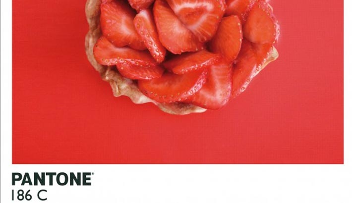 Pantone Food Photography