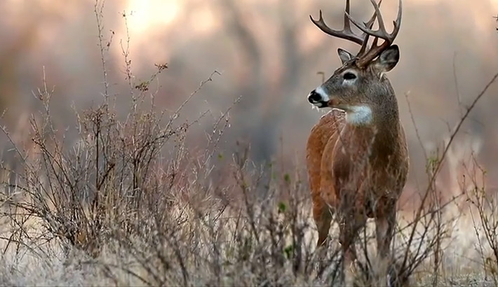 Tyler Stableford Beautifully Captures The American Outdoors For Cabela's