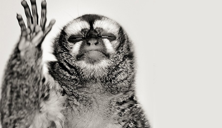 What If You Couldn't Chimp? What If You Couldn't Edit?
