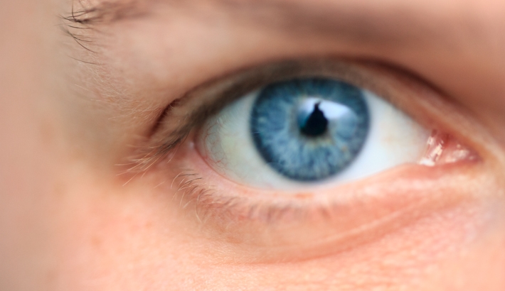 Focusing Problems and Micro Adjustments - Your Camera May Be At Fault