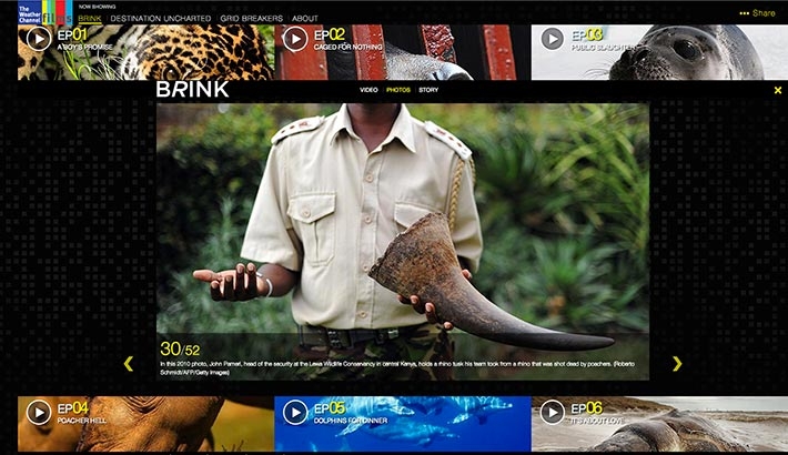 "Brink" Gripping Stories Of Endangered Animals From Weather Films