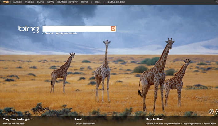 Bing and 500px Partner Up and Showcase User's Work