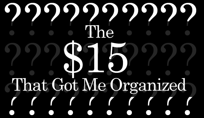 The $15 That Got Me Organized...And Saved My Sanity