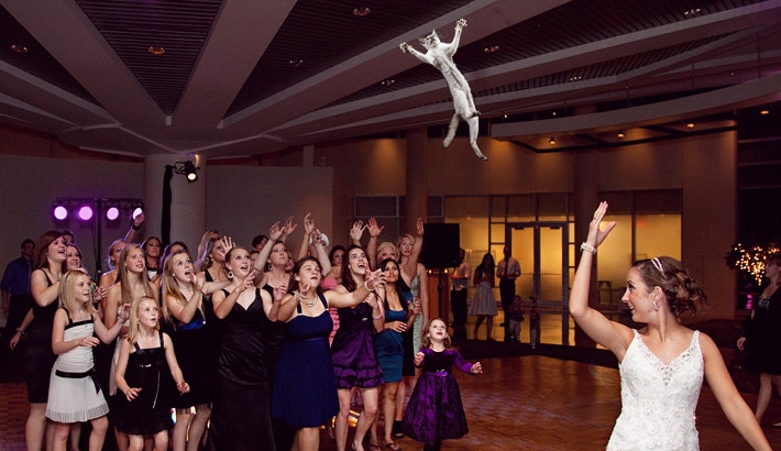 Brides Throwing Cats Instead Of The Bouquet of Flowers