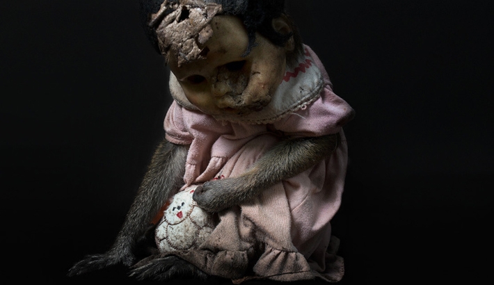 Masking Inhumanity: A Haunting View of Animal Slavery