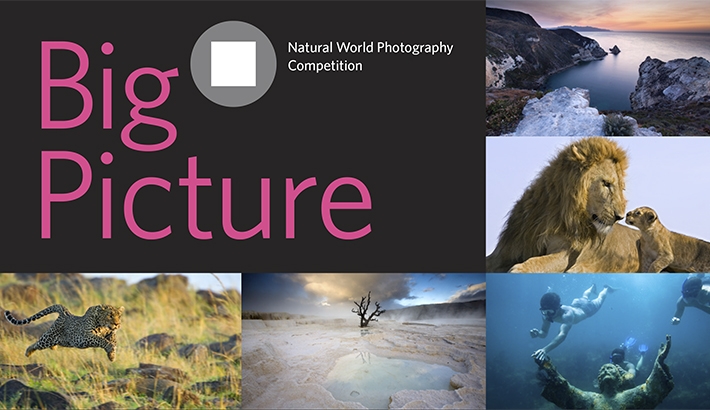 Enter Your Wildlife Images in "Big Picture: Natural World Photography Competition"
