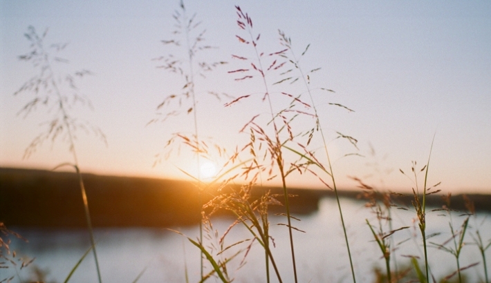 The Silver Lining Of A Saturated Photography Market