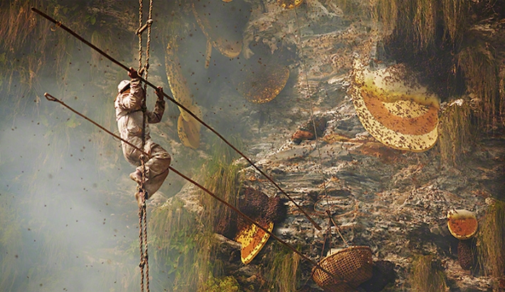 Andrew Newey's Striking Photographs of Traditional Honey Hunters in Nepal