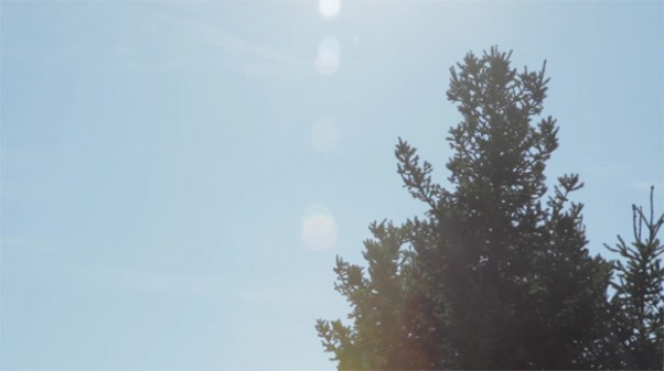 Flare1-e1320090228955