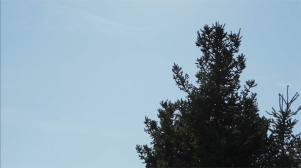 flaregone-e1320090334406