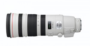 canon 200-400mm 1.4tc