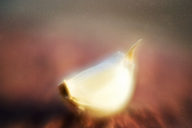 garlic