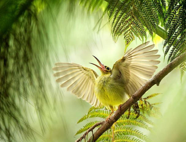 Nat Geo 1 Photo Contest 1