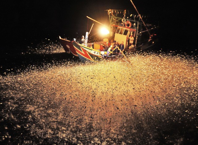 Nat Geo Photo Contest 19