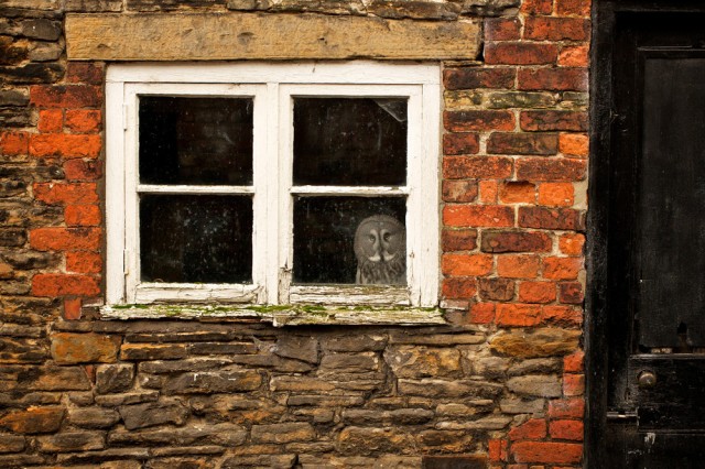 Nat Geo Photo Contest 2