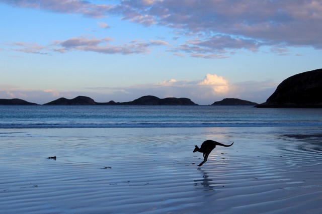 Nat Geo Photo Contest 5