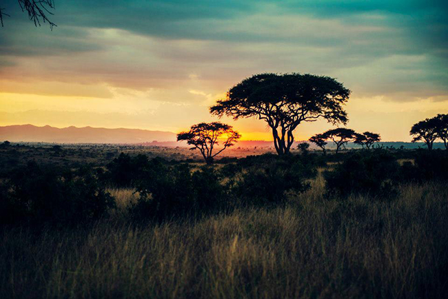 nairobi_kenya_650px