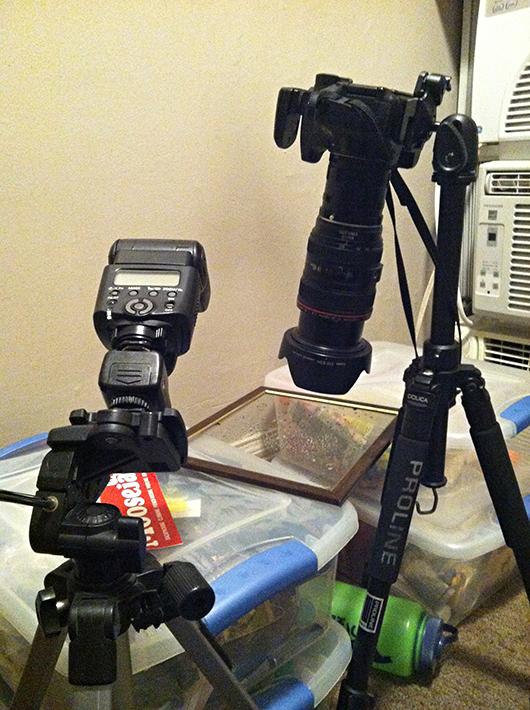 setup