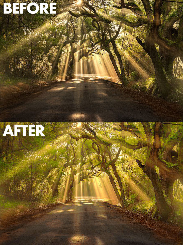 Michael-WoloszynowiczBefore-After