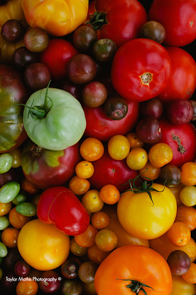 tomatoes_variety