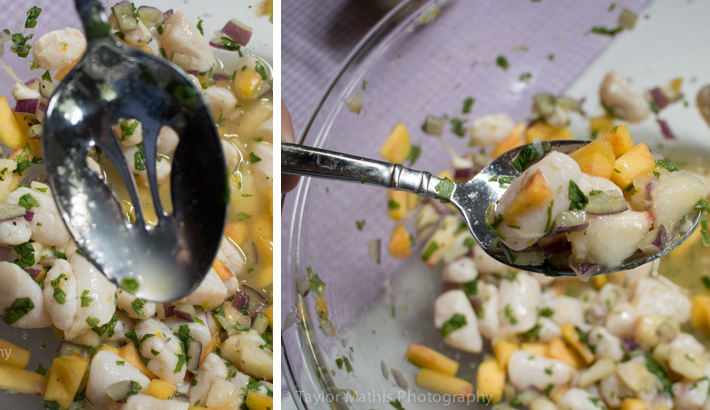 food_photography_ceviche_lighting_slotted_spoon