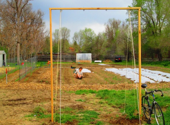 “I took this photo of a community garden in Denver. This small plot of land helps provide food for people who don’t have enough money to buy fresh produce. There is so much land available in this country for gardens like this. Why don’t more people have have access to it?” - Ashley