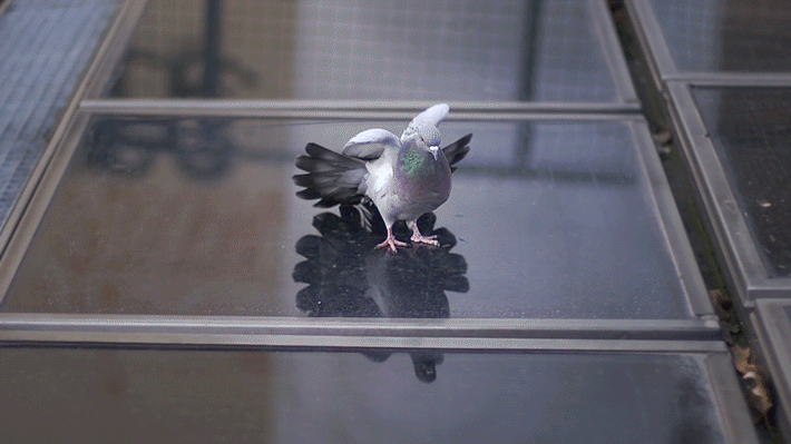 Micael Reynaud -- Action | Image courtesy of Saatchi Gallery